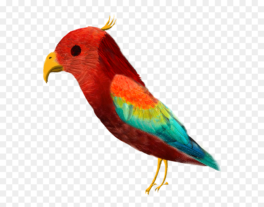 Macaw , Png Download - Macaw, Transparent Png - macaw png