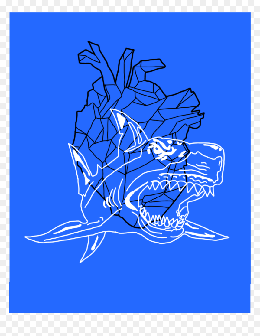 Your Heart Has Strong Shark Teeth - Illustration, HD Png Download - shark teeth png