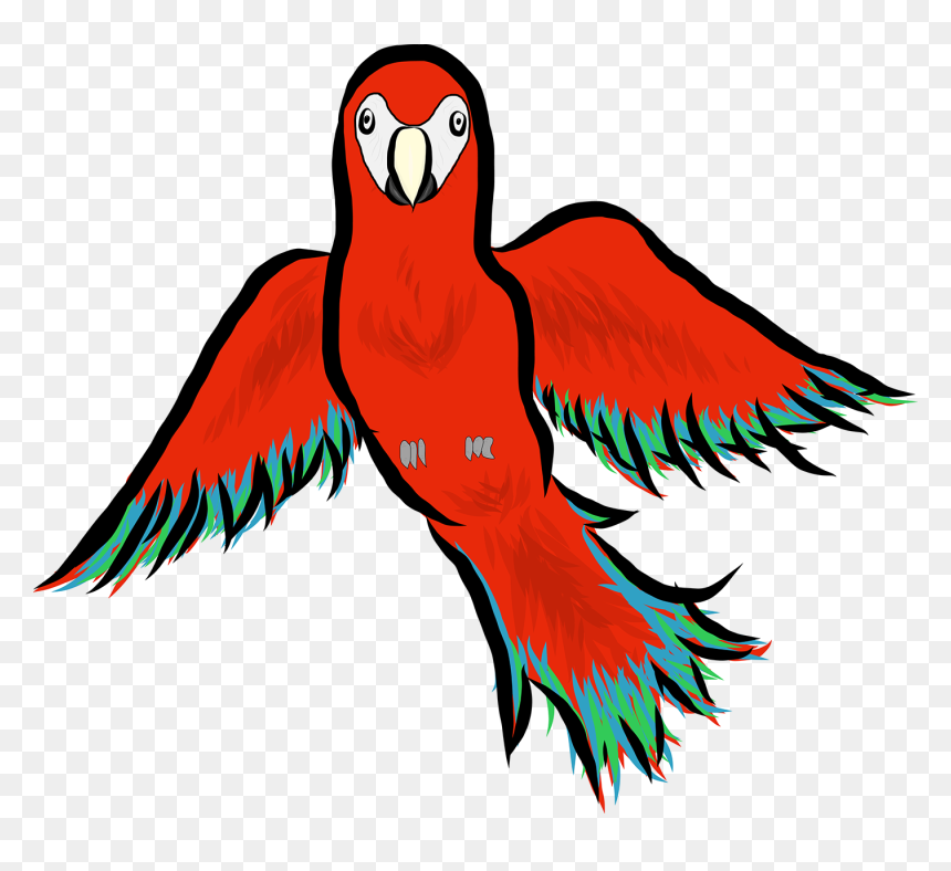 Macaw, HD Png Download - behance png