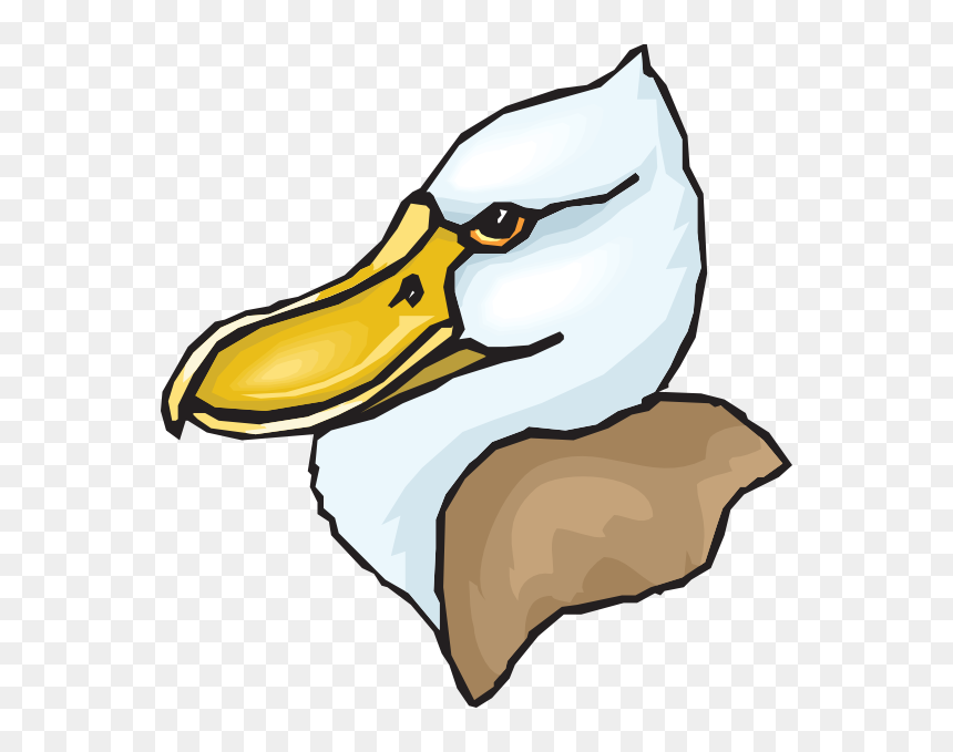 Terribly Charismatic Duck, HD Png Download - duck head png