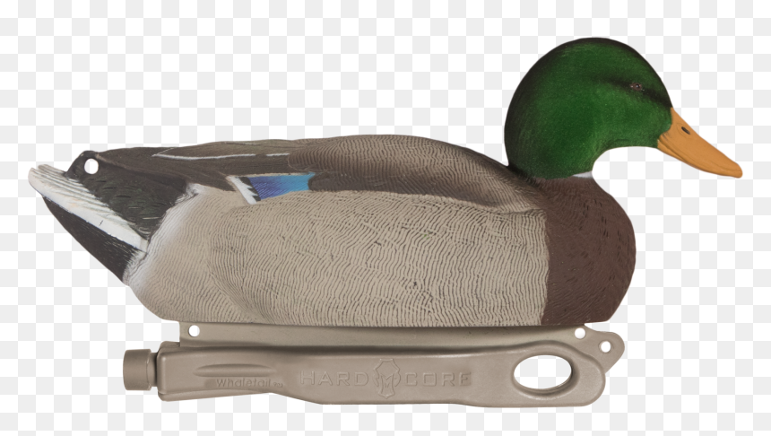 Mallard, HD Png Download - duck head png