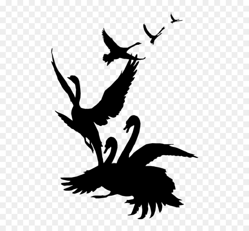 Swans Flying Clip Art, HD Png Download - black swan png
