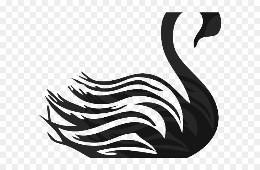 Transparent Background Swan Clip Art, HD Png Download - black swan png