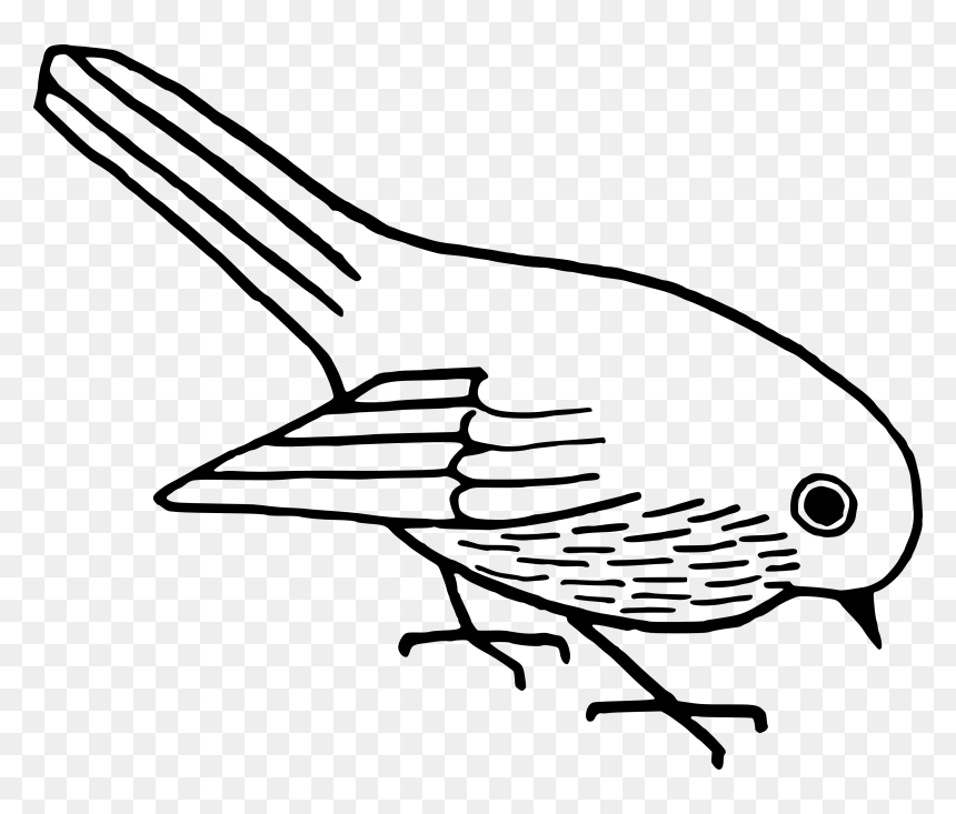 Clip Art Of Bird, HD Png Download - black swan png