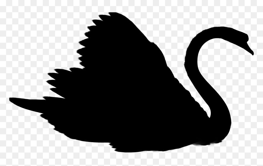 Illustration, HD Png Download - black swan png
