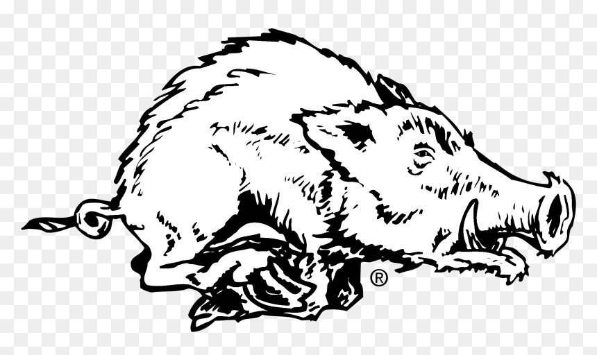 Arkansas Razorbacks, HD Png Download - arkansas razorbacks logo png