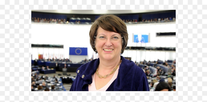 Catherine Bearder, HD Png Download - nigel farage png