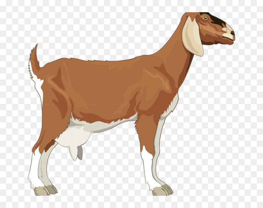 Goat Clipart Png, Transparent Png - goat simulator png