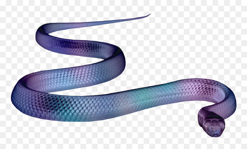 Smooth Earth Snake, HD Png Download - earth texture png