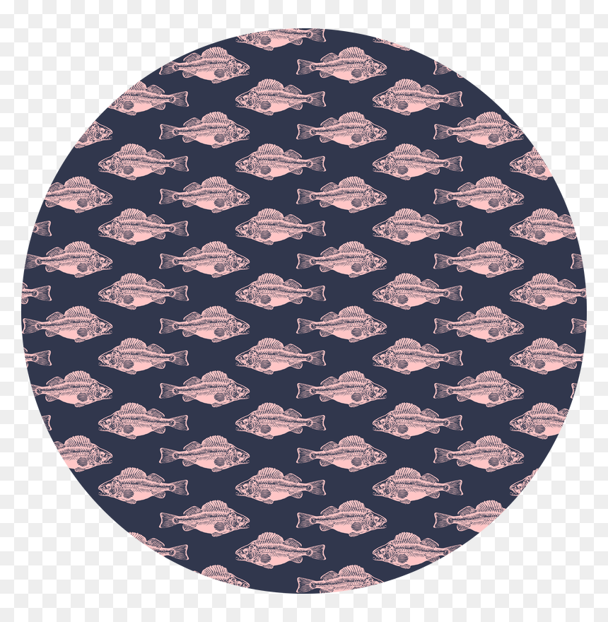 Pink Fish Skeleton - Kangaroo, HD Png Download - fish skeleton png