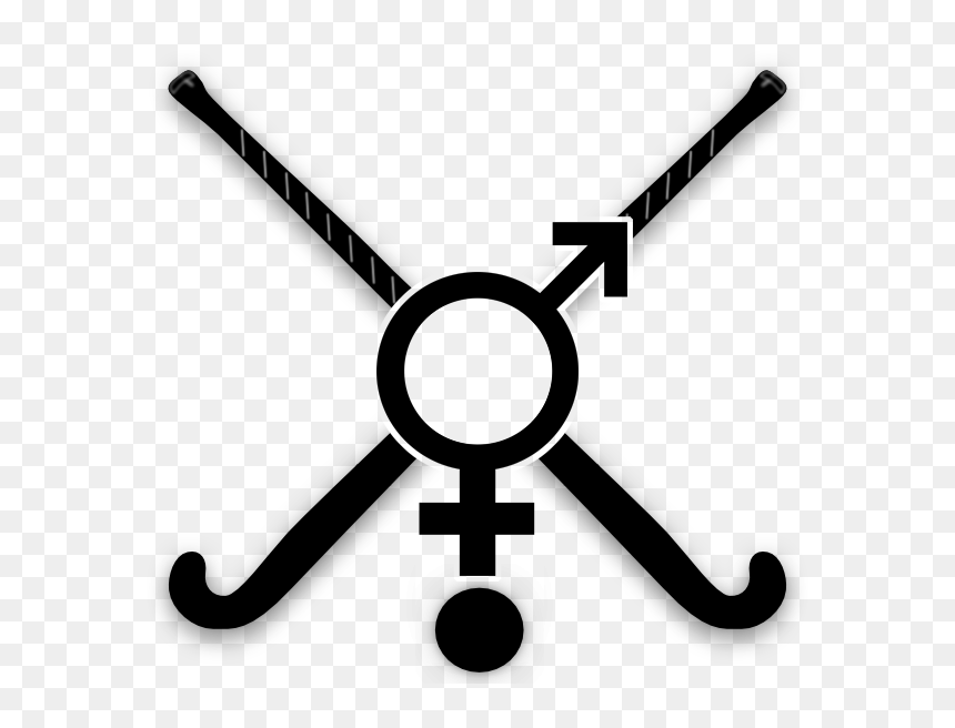 "make A Hockeytorunament Logo For A Uni-sex Competition, - Trans Flag, HD Png Download - gender icon png