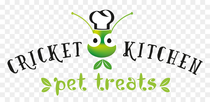 Clip Art, HD Png Download - cricket bug png