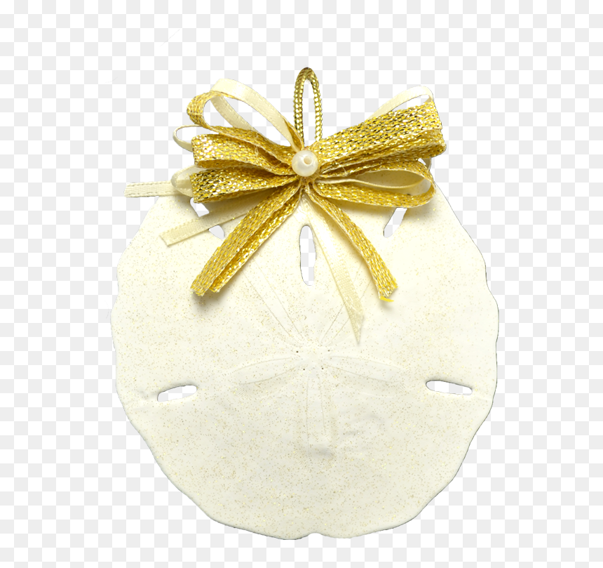 Round Sand Dollar Christmas Holidays Ornament 3-4 - Insect, HD Png Download - sand dollar png