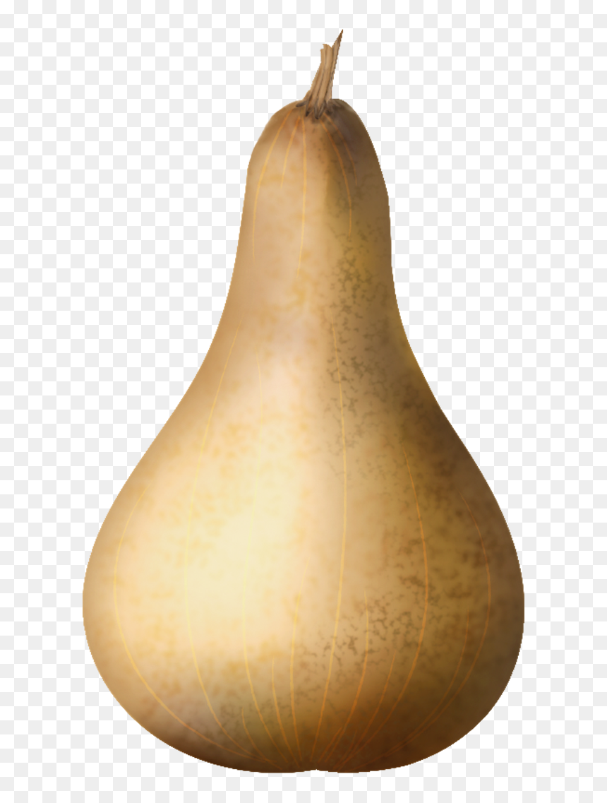 Pumpkin , Png Download - Gourd, Transparent Png - pumpkin vector png