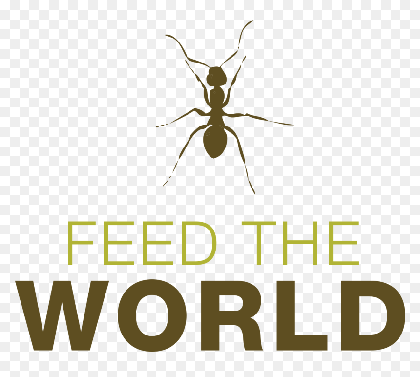 Mosquito, HD Png Download - cricket bug png