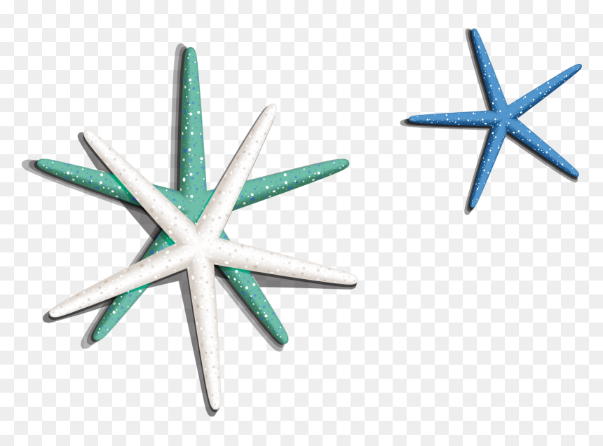 Sea Star Png Image - Starfish, Transparent Png - sea star png