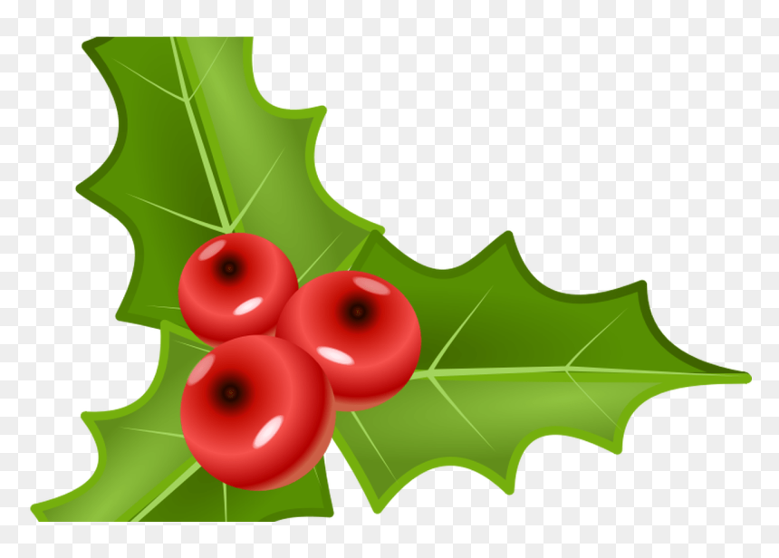 Holly Berry Clip Art Abeoncliparts Cliparts & Vectors - Plant Holly Berry Png, Transparent Png - holly berries png