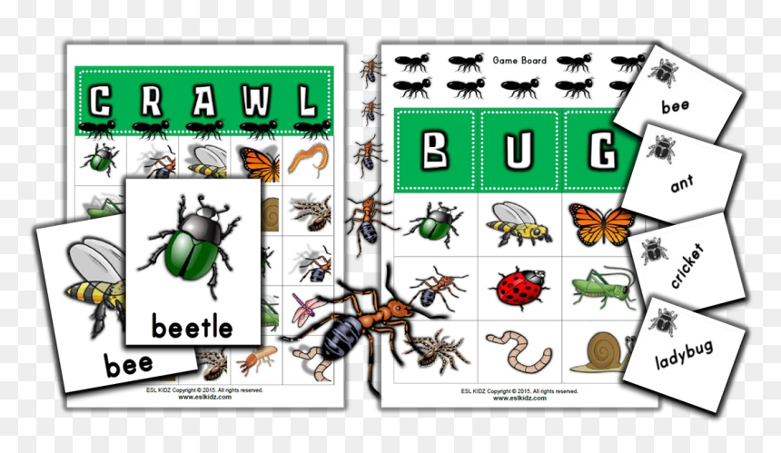 Picture - Cartoon, HD Png Download - cricket bug png