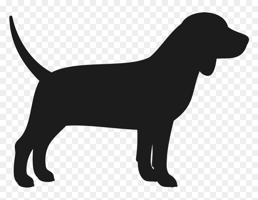 Beagle Rubber Stamp - Cachorro Do Rabo Curto, HD Png Download - baby silhouette png