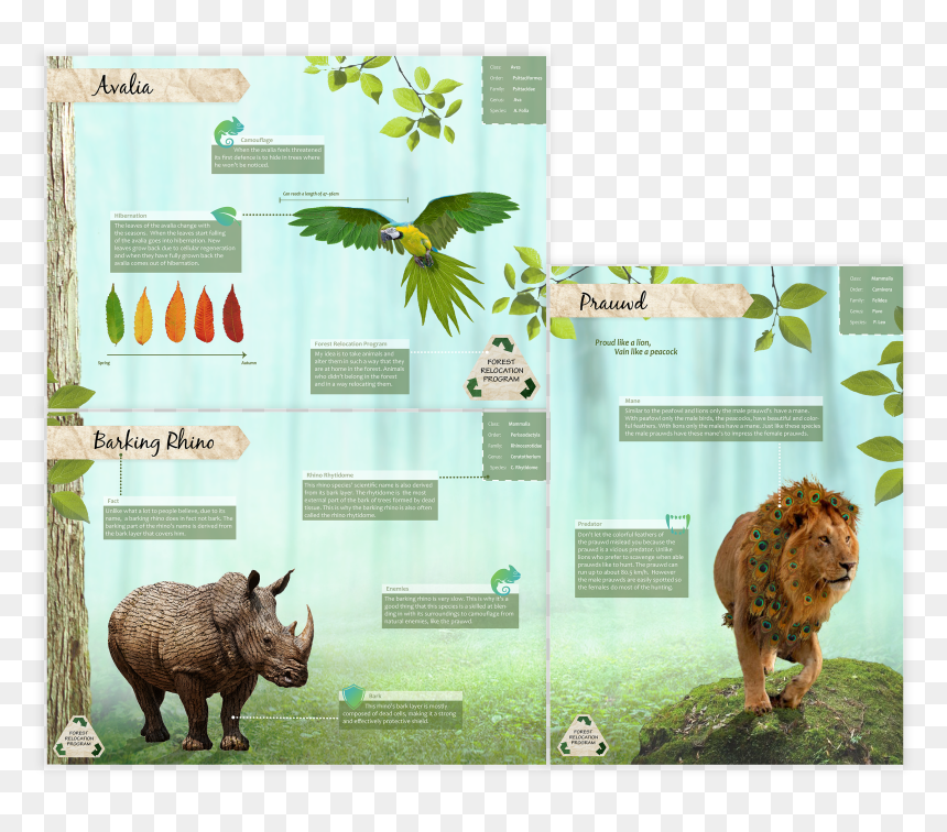 Indian Rhinoceros, HD Png Download - dead grass png