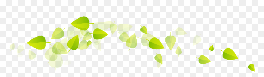 Green Tea Leaves Png , Png Download - Floating Leave Png Transparent, Png Download - tea leaves png