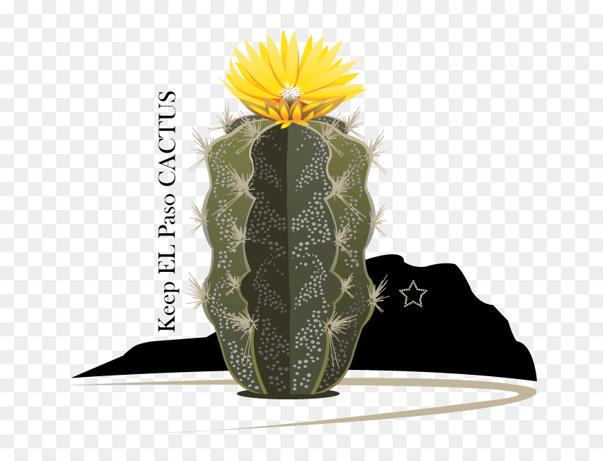 Weberocereus, HD Png Download - cactus vector png