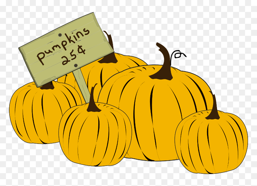 Transparent Pumpkin Vector Png - Pumpkin, Png Download - pumpkin vector png