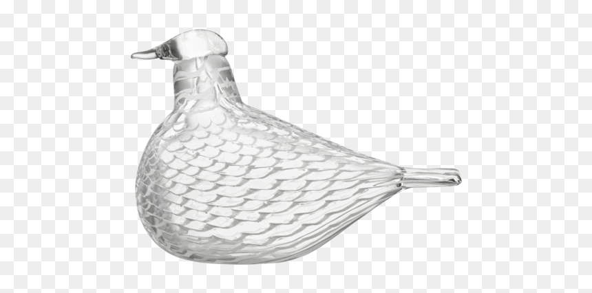 Iittala Birds By Toikka, HD Png Download - trash dove png