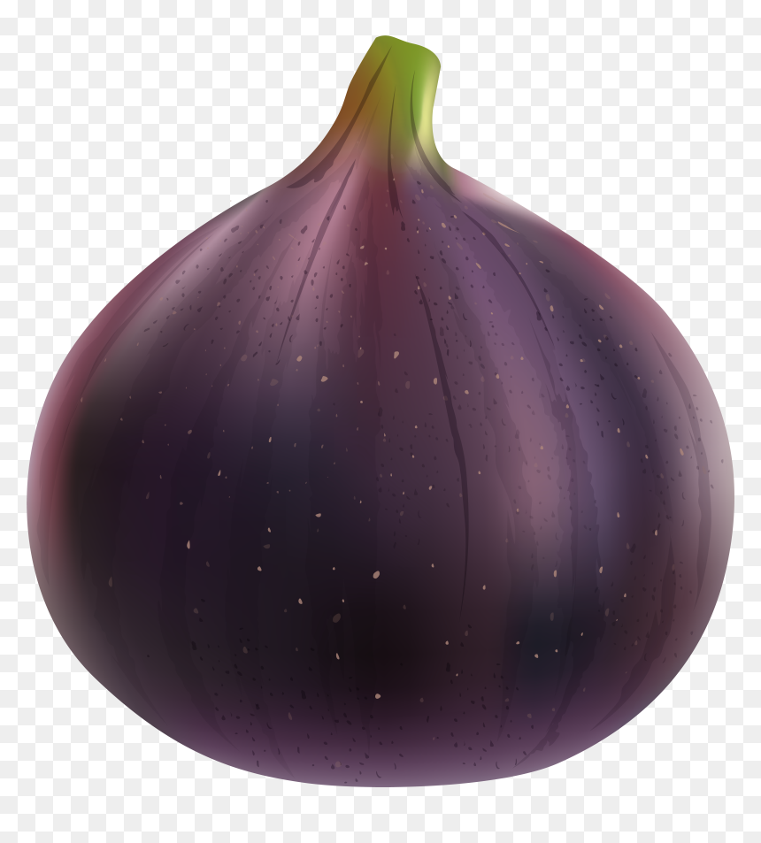 Fig Png , Png Download, Transparent Png - fig png