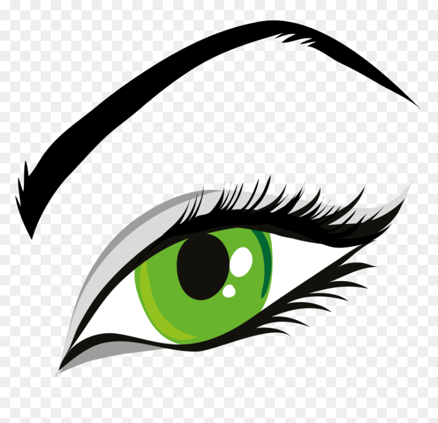 Head,eye,organ - Clip Art Eye Eyelashes, HD Png Download - png eye