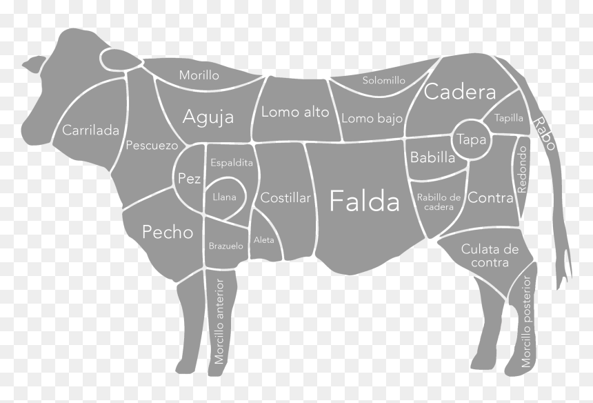 Piezas Carne Vacuno, Vaca, Buey, Cocina - Falda De La Vaca, HD Png Download - vaca png