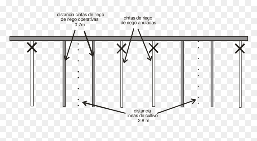 Cinta De Riego Por Goteo, HD Png Download - cintas png