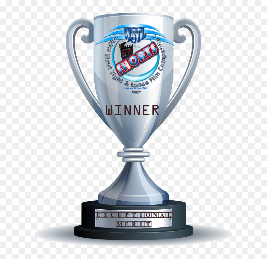 Gold Silver Bronze Trophy , Png Download - Silver Trophy Cup, Transparent Png - silver trophy png
