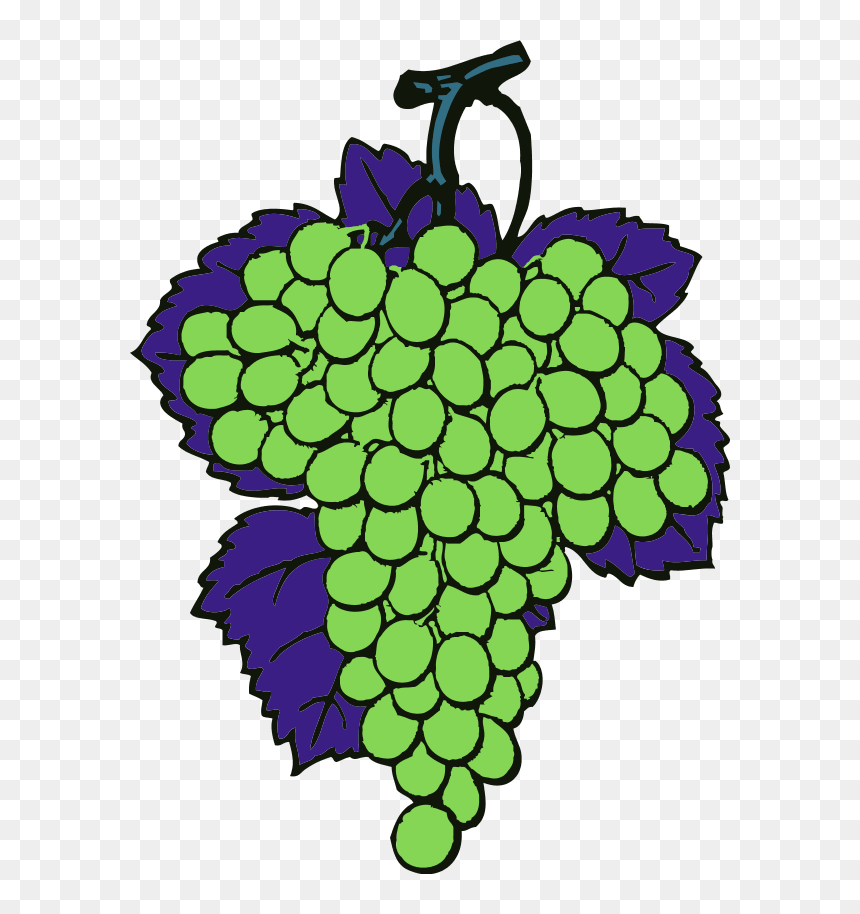 Grapes Vine Fruit - Grapes Joshua And Caleb, HD Png Download - uvas png