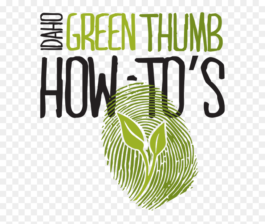 Idaho Green Thumb How-to"s - Graphic Design, HD Png Download - dead grass png