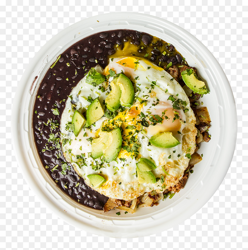 Transparent Cactus Vector Png - Omelette, Png Download - cactus vector png