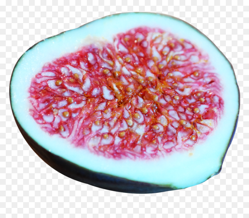 Fig Png Image - Common Fig, Transparent Png - fig png