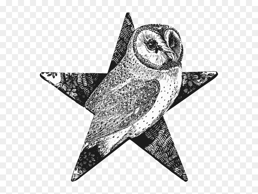 Barn Owl Barnstar - Gravure Noir Et Blanc, HD Png Download - barn owl png