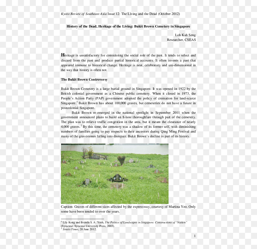 Grass, HD Png Download - dead grass png