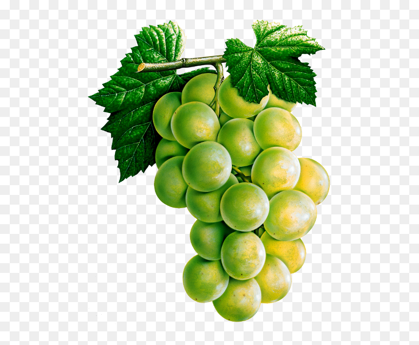 Trauben Clipart, HD Png Download - uvas png