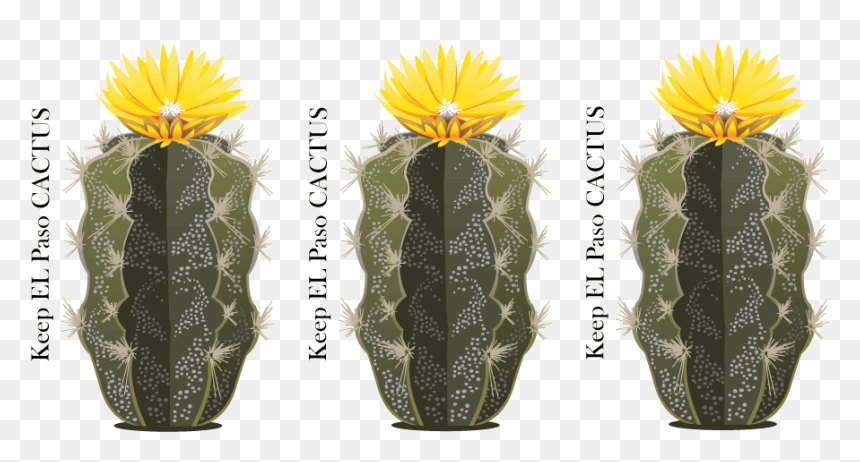 Hedgehog Cactus, HD Png Download - cactus vector png