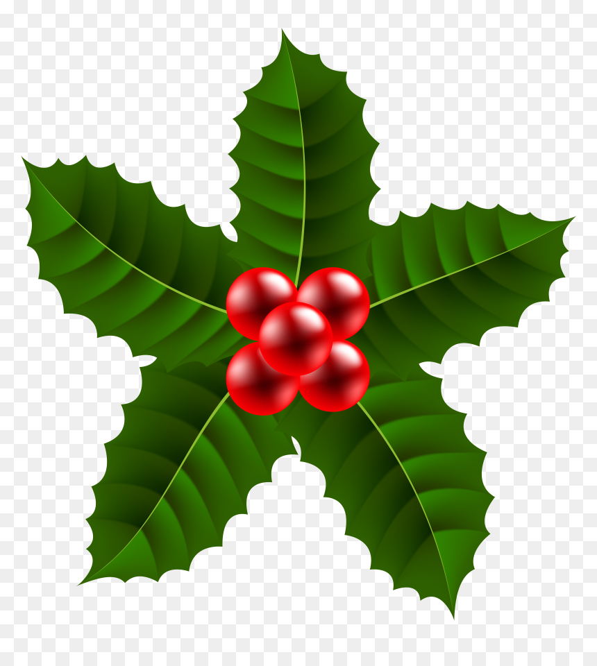 Large Christmas Holly Png, Transparent Png - holly berries png