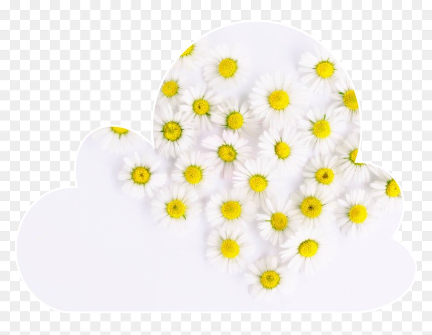 #cloud #shape #flowrs - Musulmans Sont Comme Un Seul Corps, HD Png Download - cloud shape png