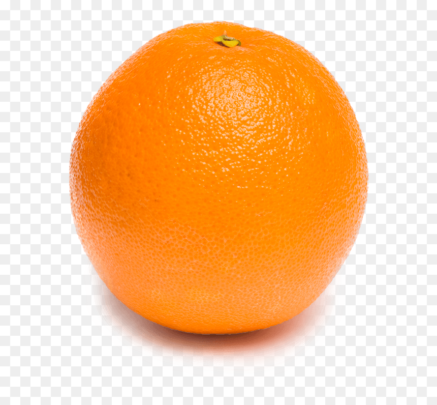 Rangpur, HD Png Download - naranja png