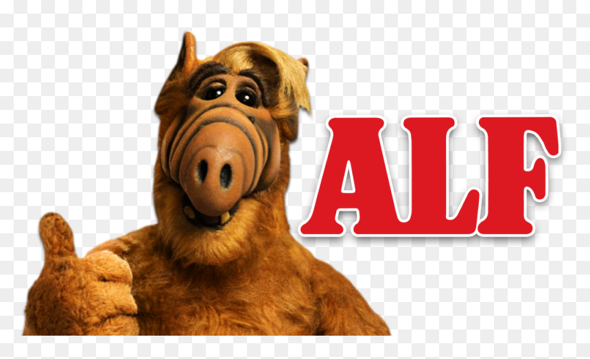 Thumb Image - Plaza General Manuel Belgrano, HD Png Download - alf png