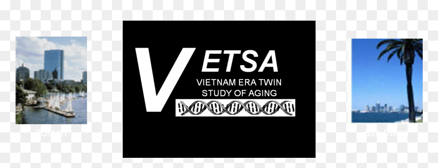 Vetsa Heading - Poster, HD Png Download - vietnam war png