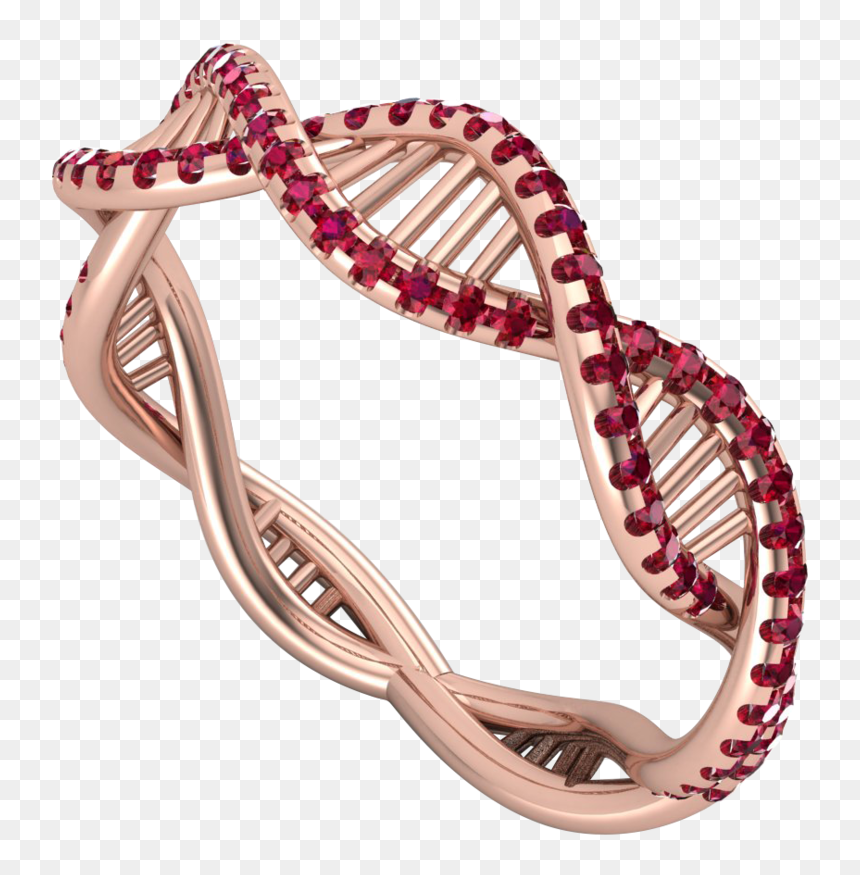 Transparent Gold Accent Png - Corn Snake, Png Download - accent png