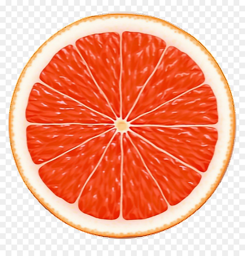 Citrus Slices Clipart , Png Download - Citrus Fruits Slice Png, Transparent Png - citrus png