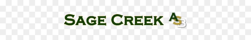 Sabes Bachillerato, HD Png Download - castle crashers png