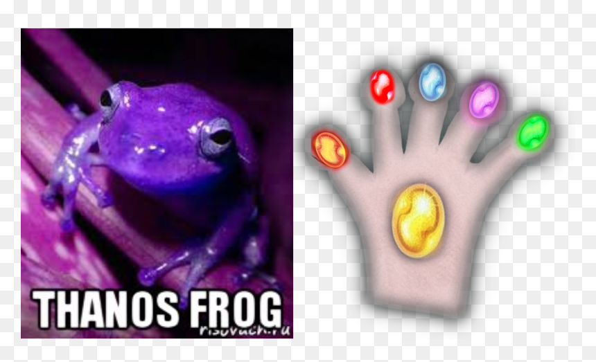 Thanos Glove Gauntlet Custom Fit For Frog Fingers Imgur - Purple Frog, HD Png Download - crazy frog png